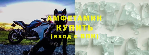 ECSTASY Богданович