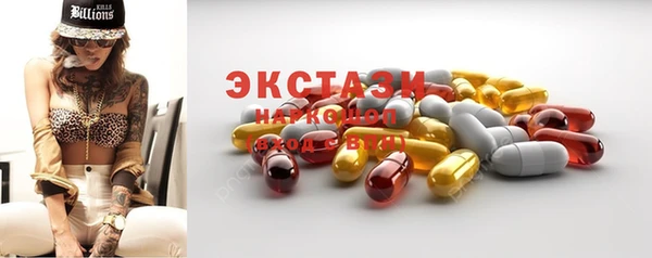 ECSTASY Богданович