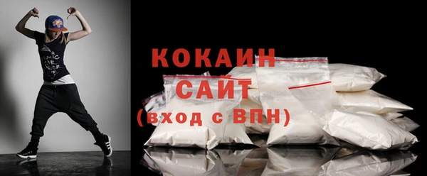 ECSTASY Богданович