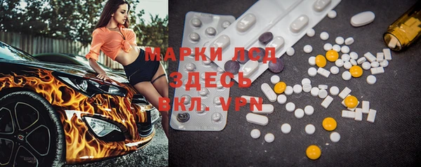 ECSTASY Богданович
