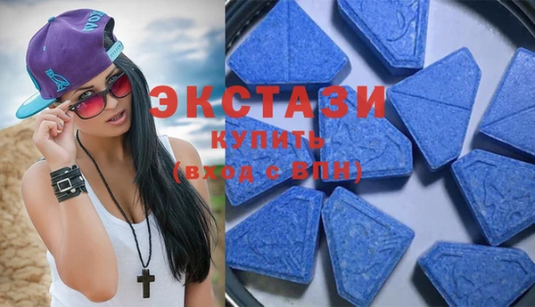 ECSTASY Богданович