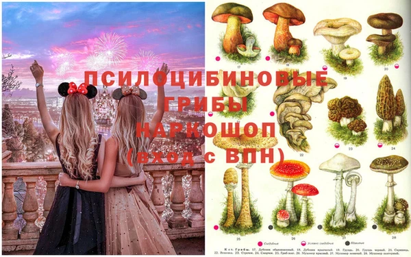 спиды Богородицк