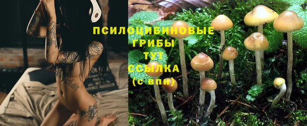 спиды Богородицк