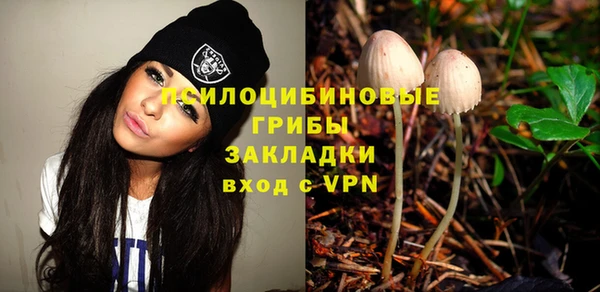 ECSTASY Богданович