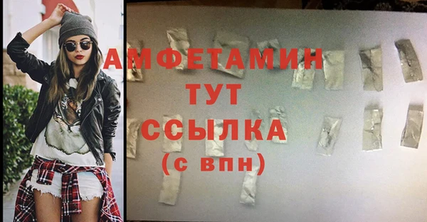 ECSTASY Богданович