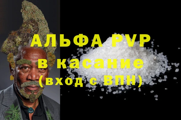 ECSTASY Богданович