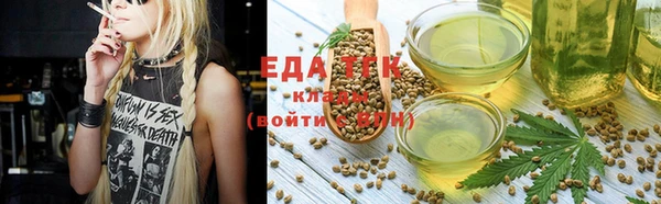 спиды Богородицк