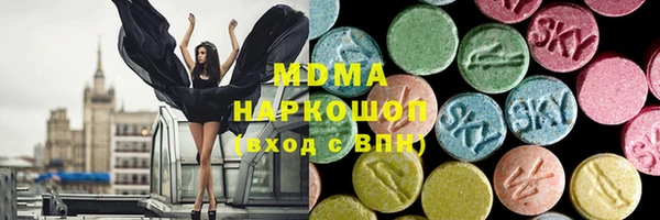 ECSTASY Богданович