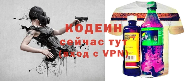спиды Богородицк
