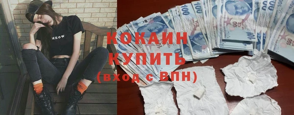 ECSTASY Богданович
