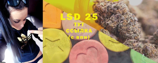 ECSTASY Богданович