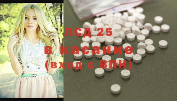ECSTASY Богданович