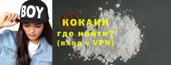 ECSTASY Богданович